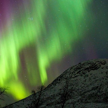 6 Person Holiday Home In Olderdalen Esterno foto